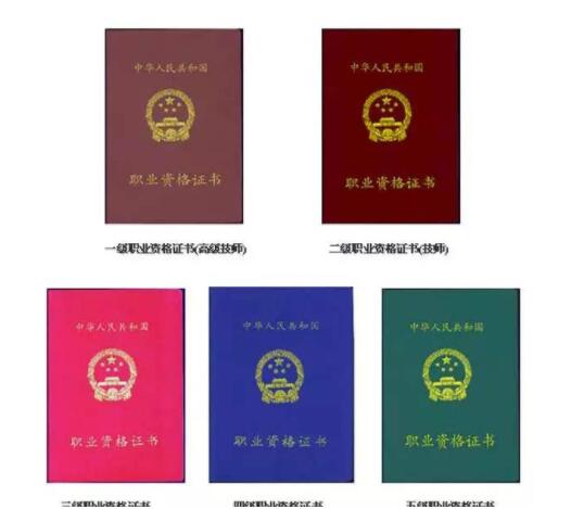 <b>技术团队人员</b>