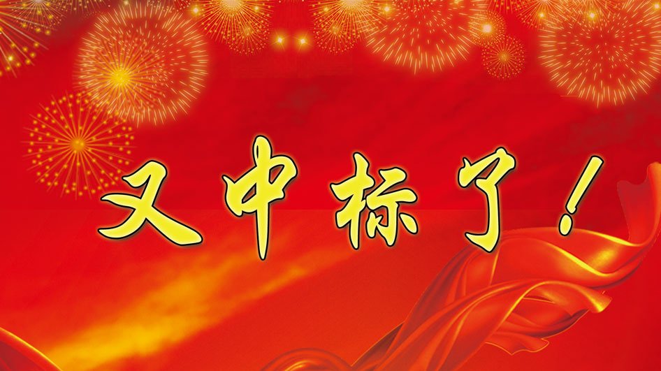 公司大型项目中标文件