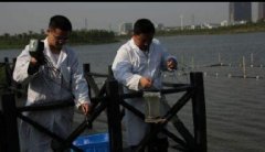 水质检测/监测